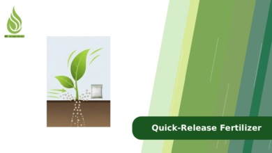تصویر What is Quick-Release Fertilizer and When Should We Use It?