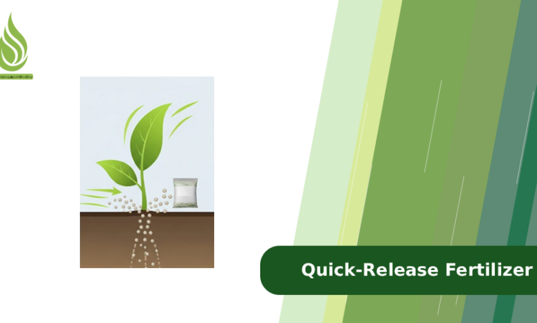 تصویر What is Quick-Release Fertilizer and When Should We Use It?