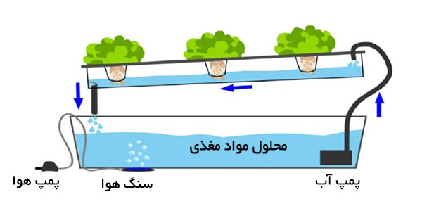 معرفی سیستم های کشت هیدروپونیک- سیستم NFT