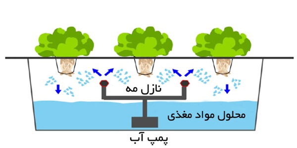 معرفی سیستم های کشت هیدروپونیک- سیستم ایرپونیک