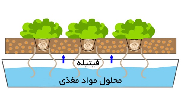 معرفی سیستم های کشت هیدروپونیک- روش فیتیله ای