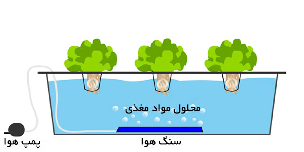 معرفی سیستم های کشت هیدروپونیک- سیستم کشت آب
