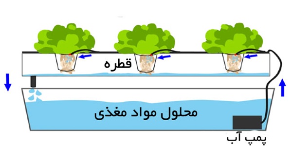 معرفی سیستم های کشت هیدروپونیک- سیستم قطره ای