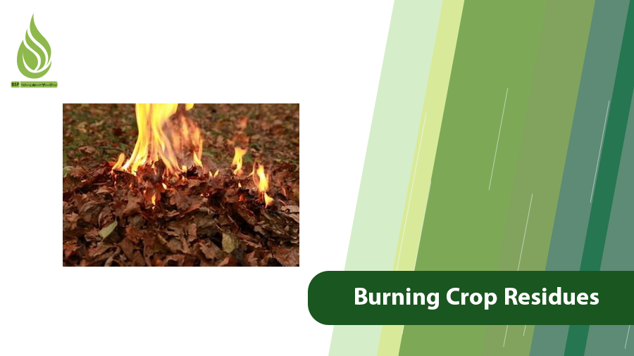 Burning Crop Residues