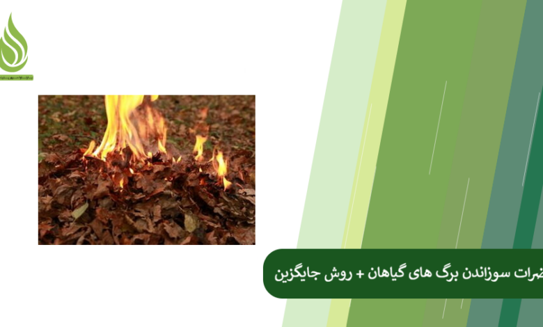 تصویر سوزاندن برگ ها در زمین کشاورزی چه ضررهایی دارد؟ + روش های جایگزین