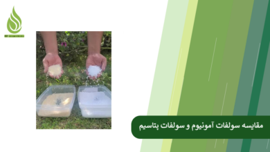 تصویر مقایسه سولفات آمونیوم و سولفات پتاسیم: راهنمای کشاورزان برای تغذیه گیاه و اصلاح خاک
