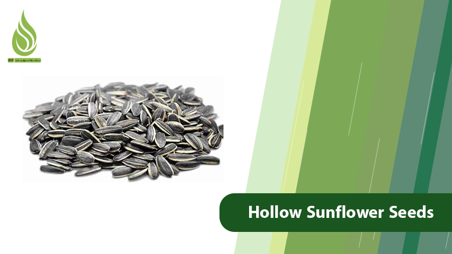 Hollow Sunflower Seeds