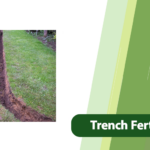 Trench Fertilization