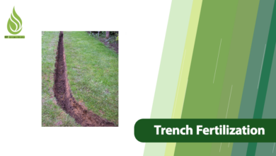 تصویر Trench Fertilization & Deep Feeding Orchards