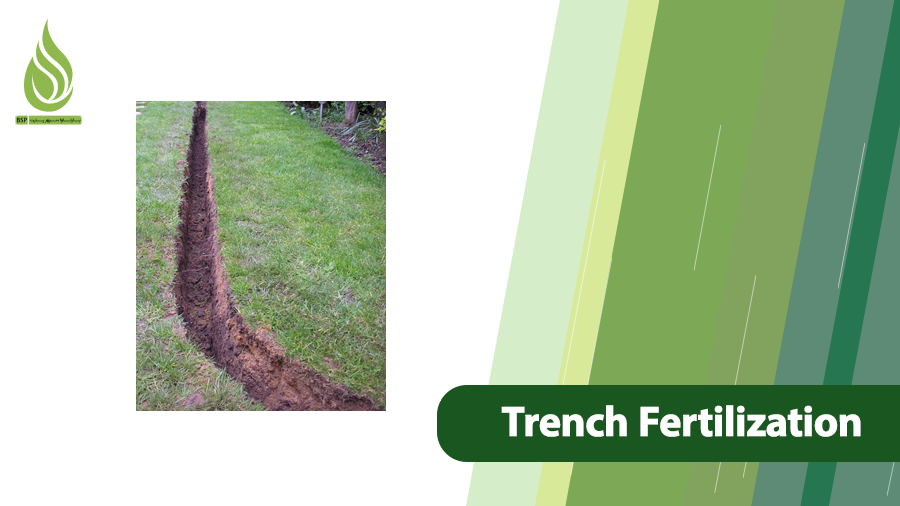 Trench Fertilization