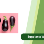 Eggplants Won’t Turn Black