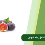 برنامه کوددهی به درخت انجیر