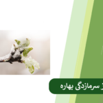 همه چیز درباره پیشگیری از سرمازدگی دیررس بهاره