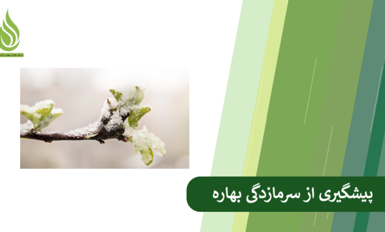 تصویر چگونه از خسارت سرمازدگی دیررس بهاره به باغ جلوگیری کنیم؟