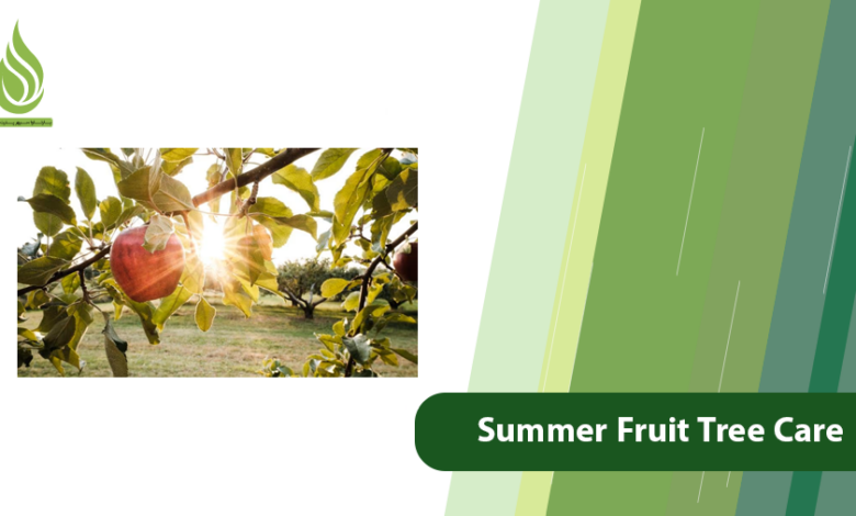 تصویر Summer Fruit Tree Care: Checklist for a Healthy Orchard
