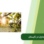اقدامات مراقبت از باغ در تابستان