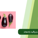 همه چیز درباره مشکی شدن بادمجان
