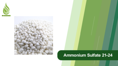 Photo of Ammonium Sulfate 21-24: What the Grade Means for Buyers