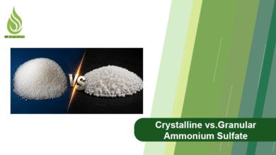 Photo of Crystalline vs Granular Ammonium Sulfate: Which One Should You Import?