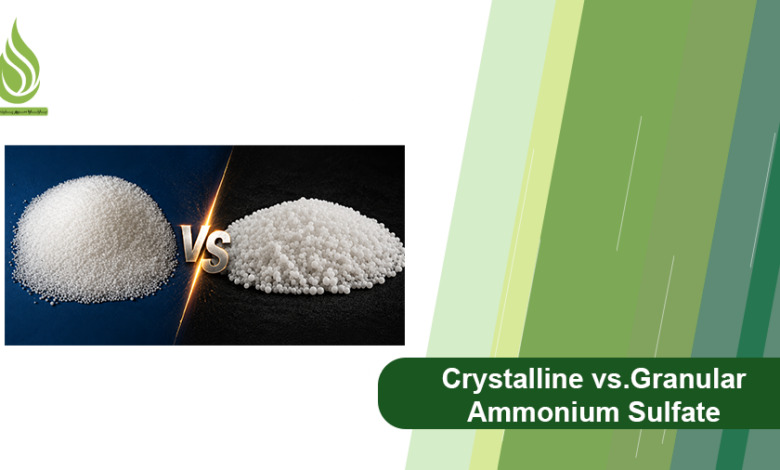 Photo of Crystalline vs Granular Ammonium Sulfate: Which One Should You Import?