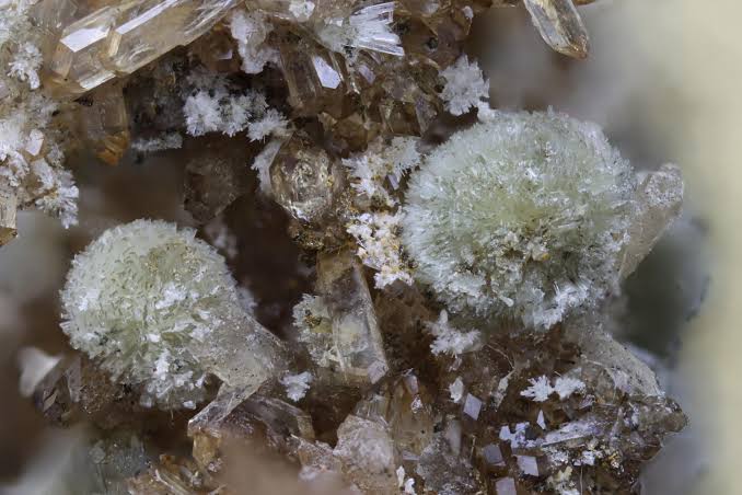 What Affects Ammonium Sulfate Dissolution?